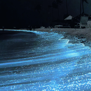 黄色录像光屁股
