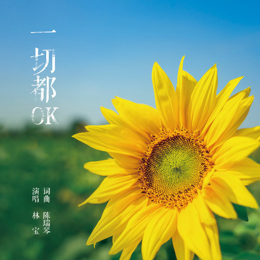 黄色录像光屁股
